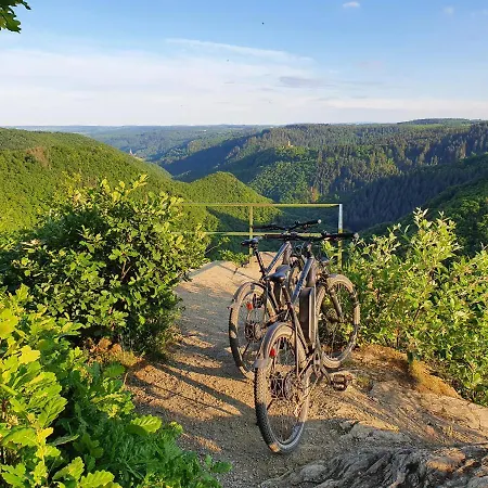 公寓 Moselfeeling Co2frei