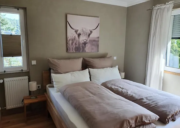 Moselfeeling Co2frei Apartment Cochem